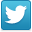 socialFooterIcons-twitter_32